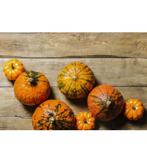 Zucca italiana: proprietà, caratteristiche ed utilizzi di un prodotto italiano esempio di biodiversità